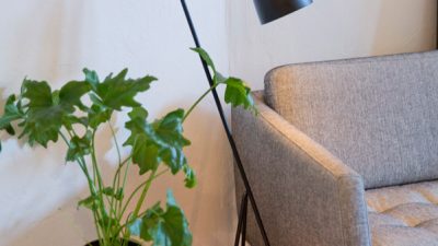 Sofaecke mit Licht und Pflanzen