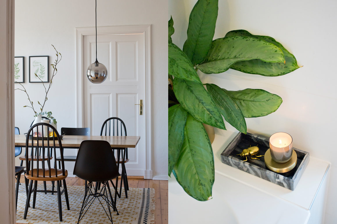 Inneneinrichtung: Esszimmer, Tisch, Stuhl, Pflanzen